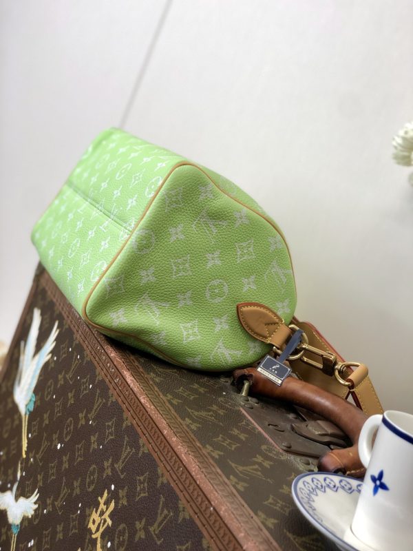 Speedy  Bandoulière 25 Monogram Leather
