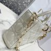 i1647586326_6352_2 Lady D-Joy handbag