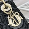 Lady Dior'