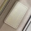 Lady Dior’