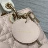 Lady Dior’