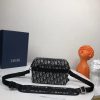 Dior Oblique