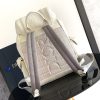 i1725289307_7527_5 Dior backpack