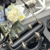 i1734758736_2020_8 Lady Dior’