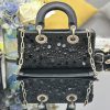 i1734758736_4919_0 Lady Dior’