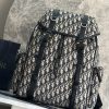 i1747032865491_8107_0_0 Dior backpack