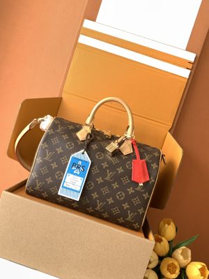The Speedy Soft 30 Dark handbag